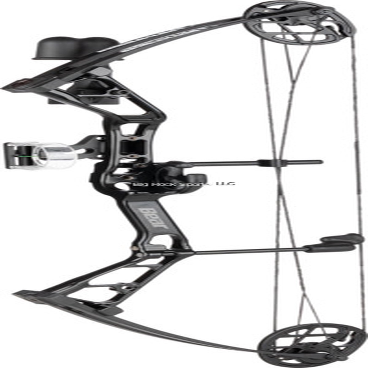 Bear Archery Pathfinder