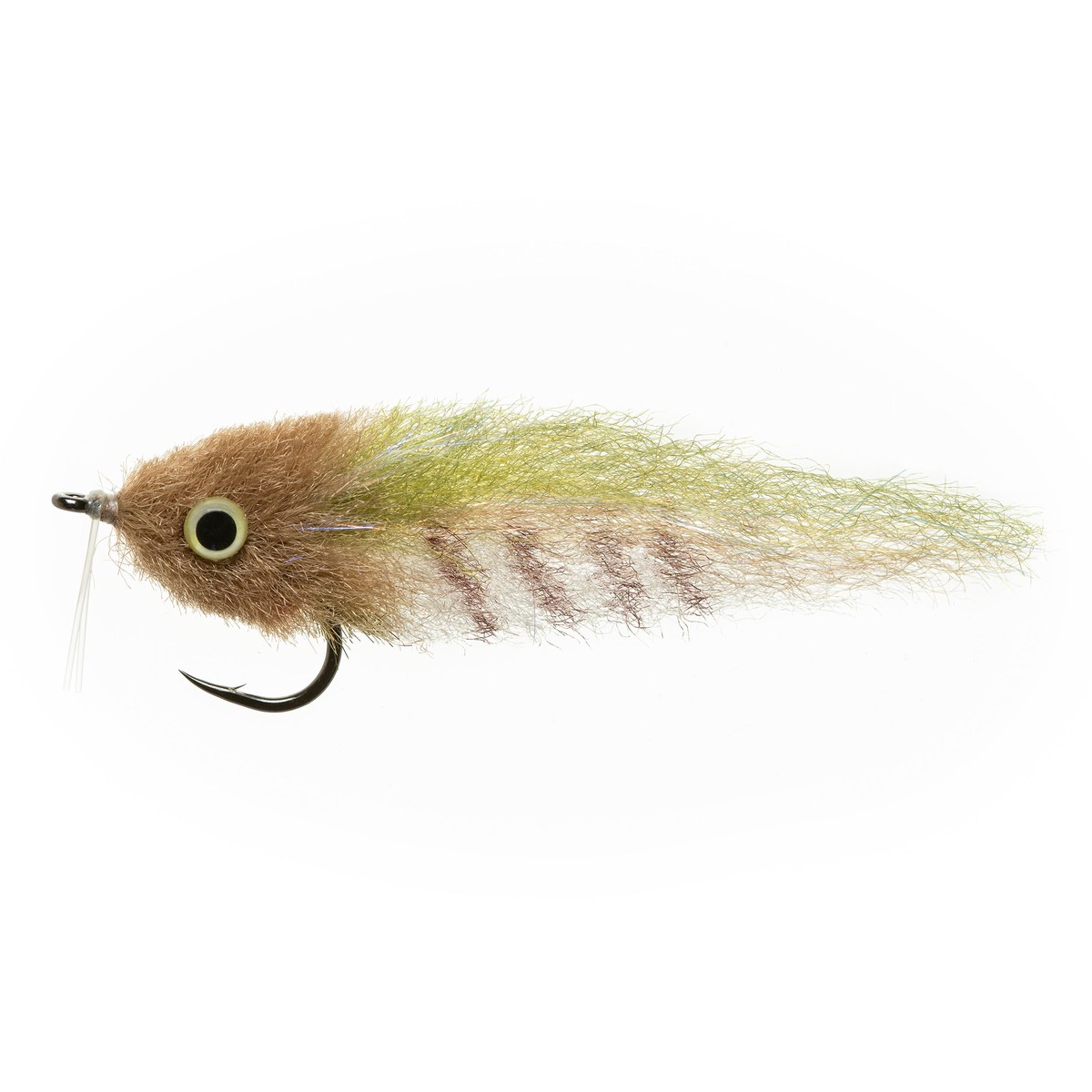 Everglades Special