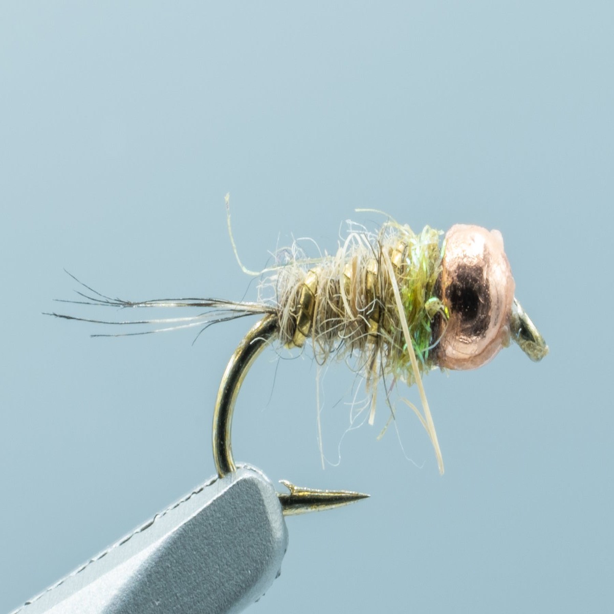 Riff Nymph Copper #16