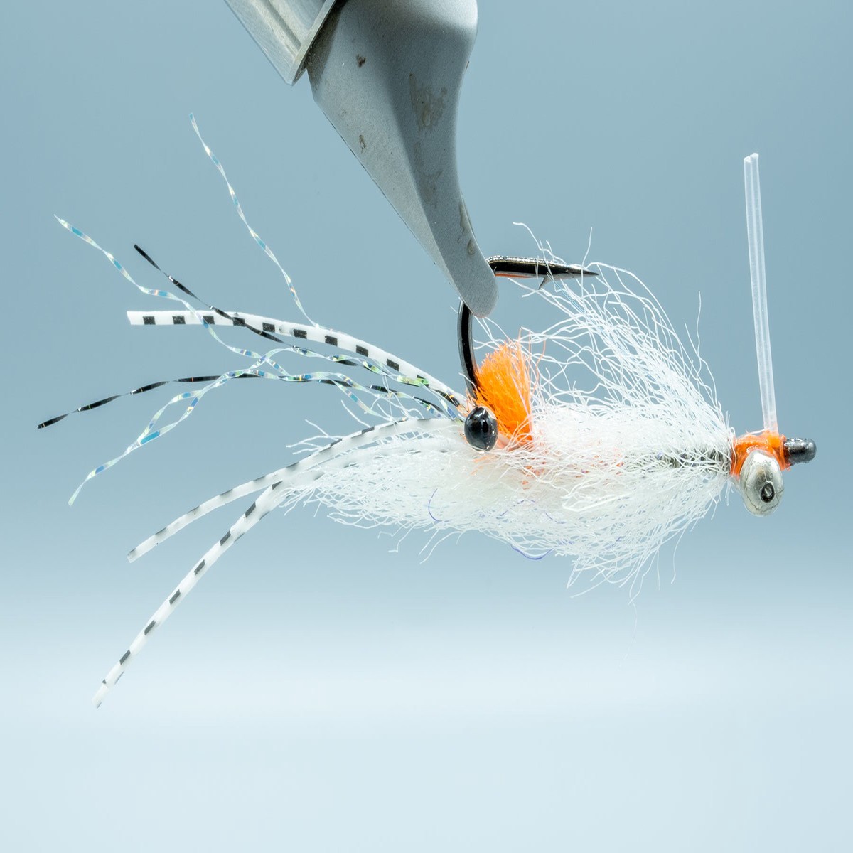 Spawning Shrimp Transparent BC