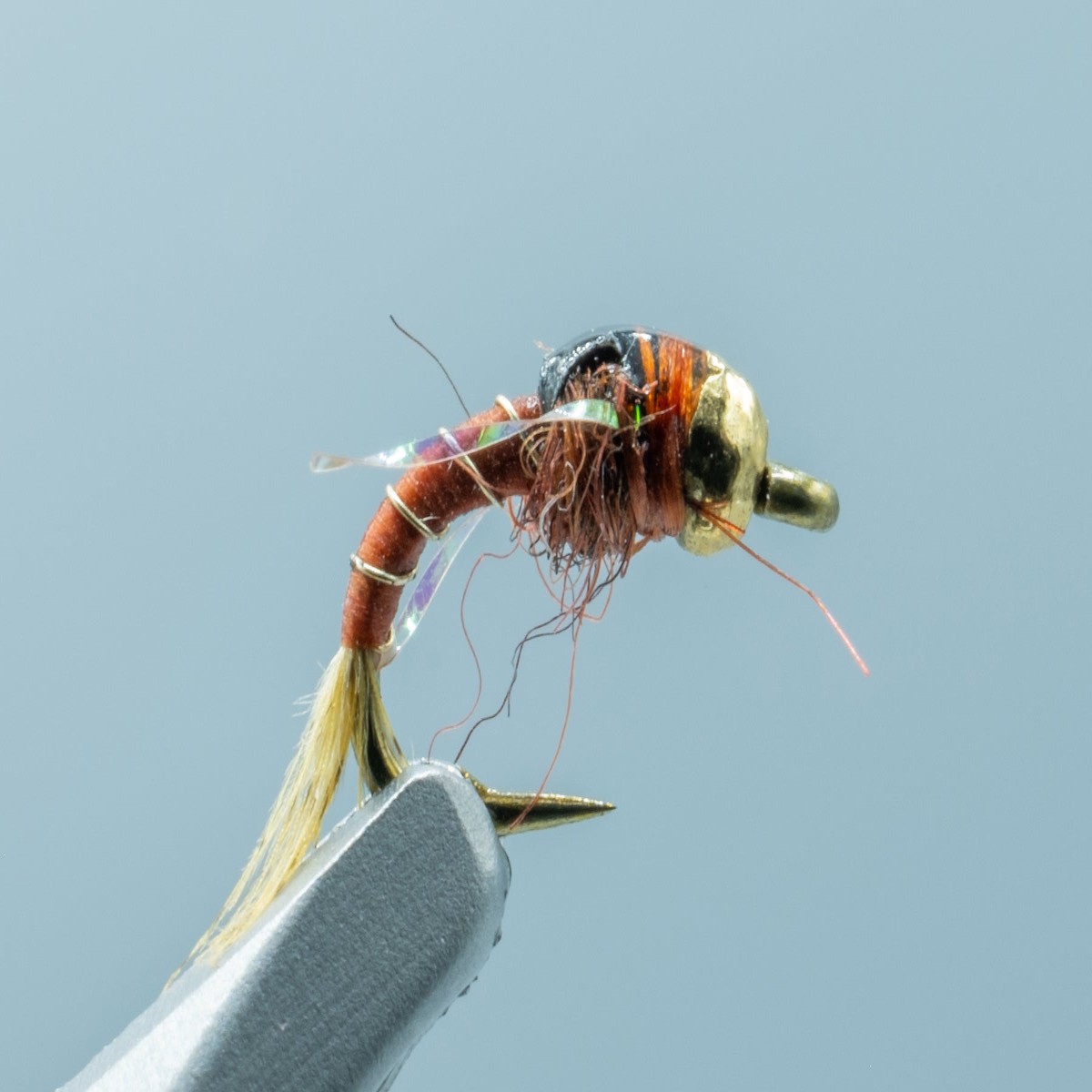 Tailwater Tiny Rust #18