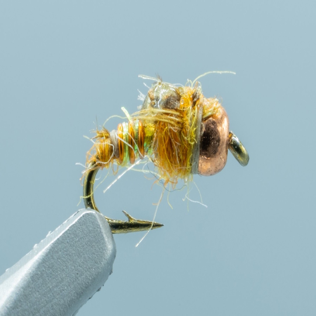 Micro May Yellow #18
