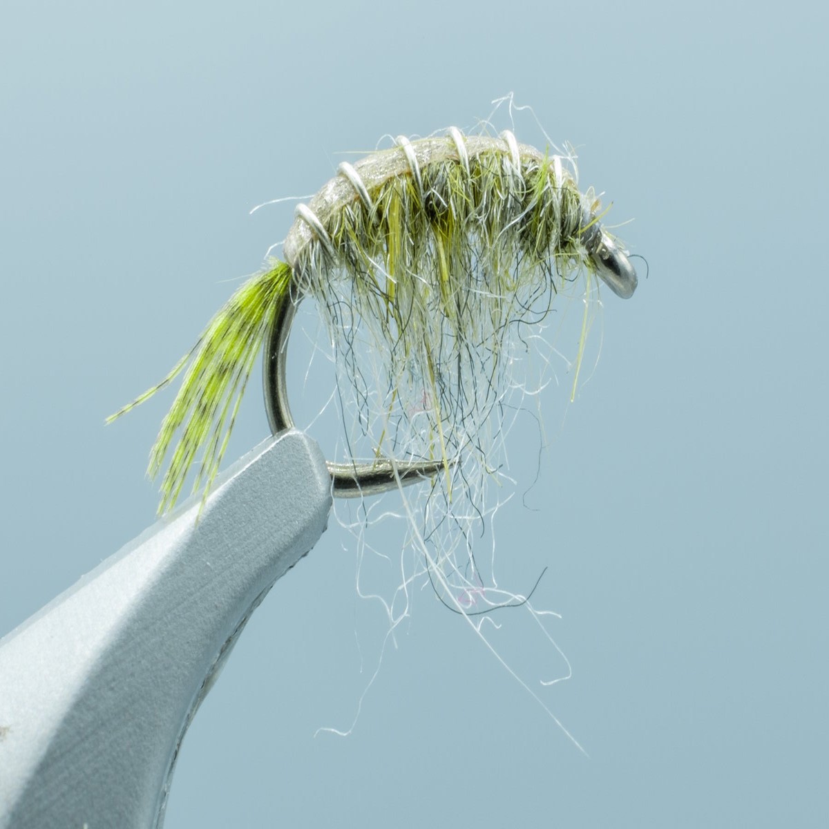 Olive Scud #12