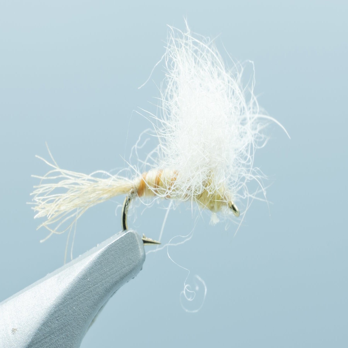 PMD Emerger #18