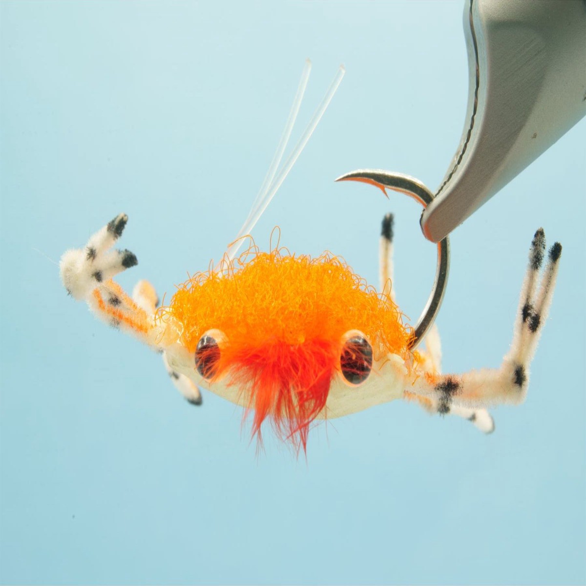 Trigger Crab #6