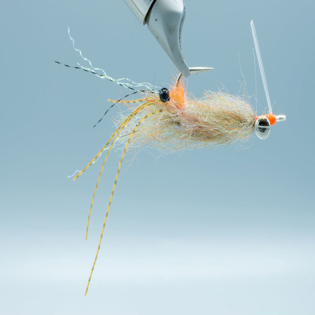 Spawning Shrimp Root Beer #1/0
