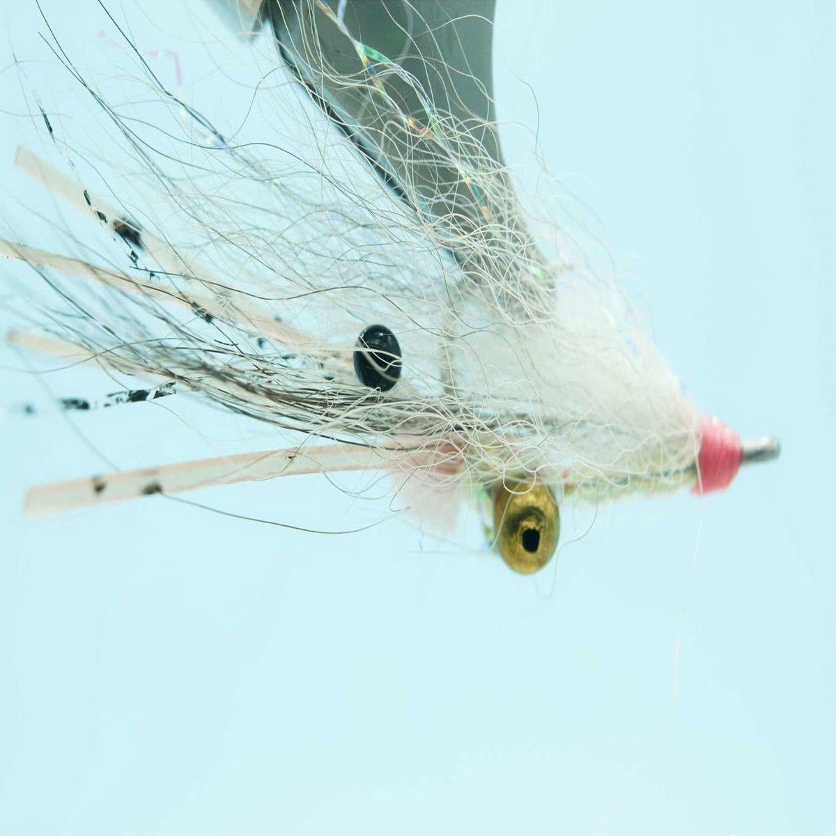 Koga's Bonefish