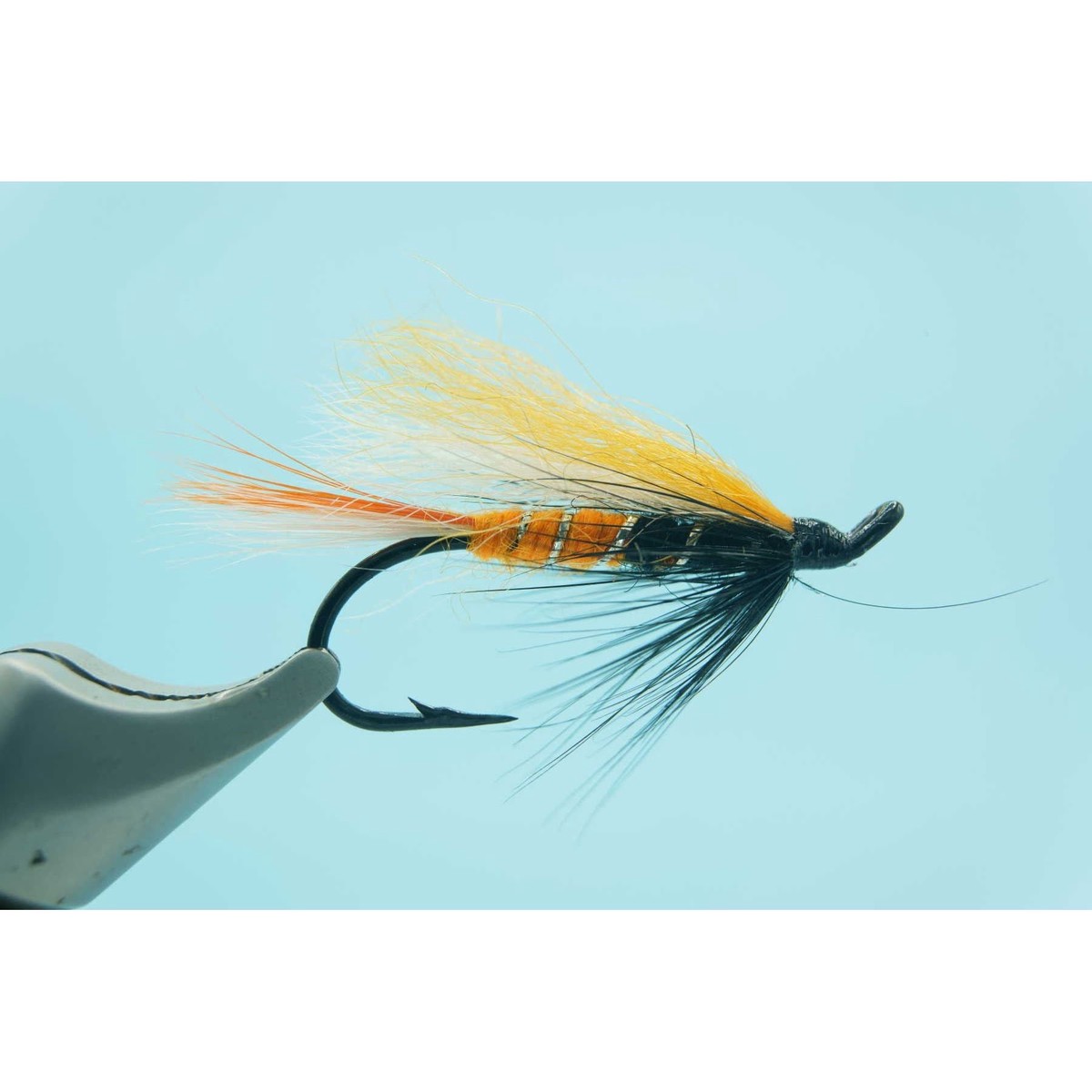 Max Canyon #6