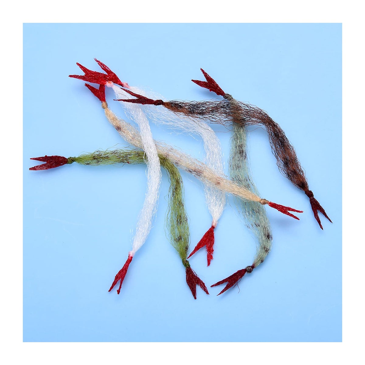 EP Crustaceous Claw