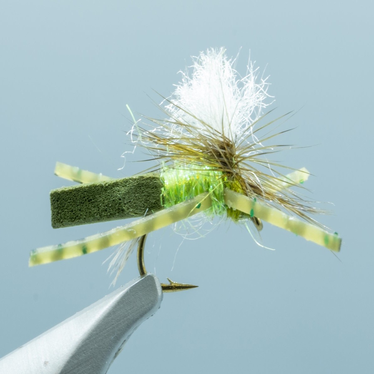 Master Attractor Olive #14