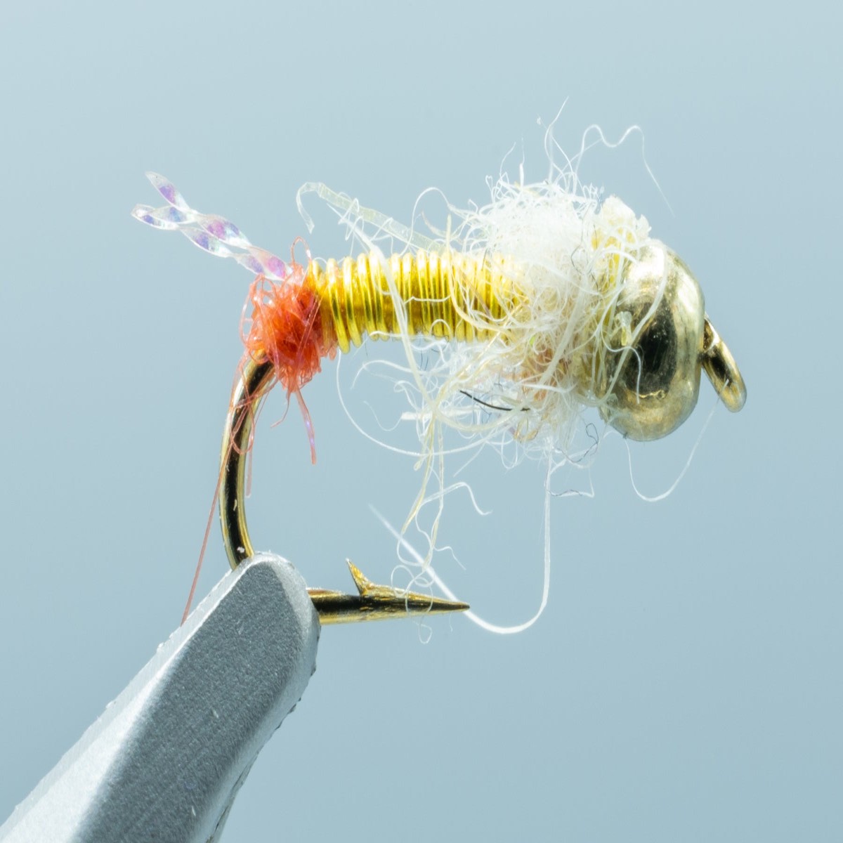 D Stone Sally #16