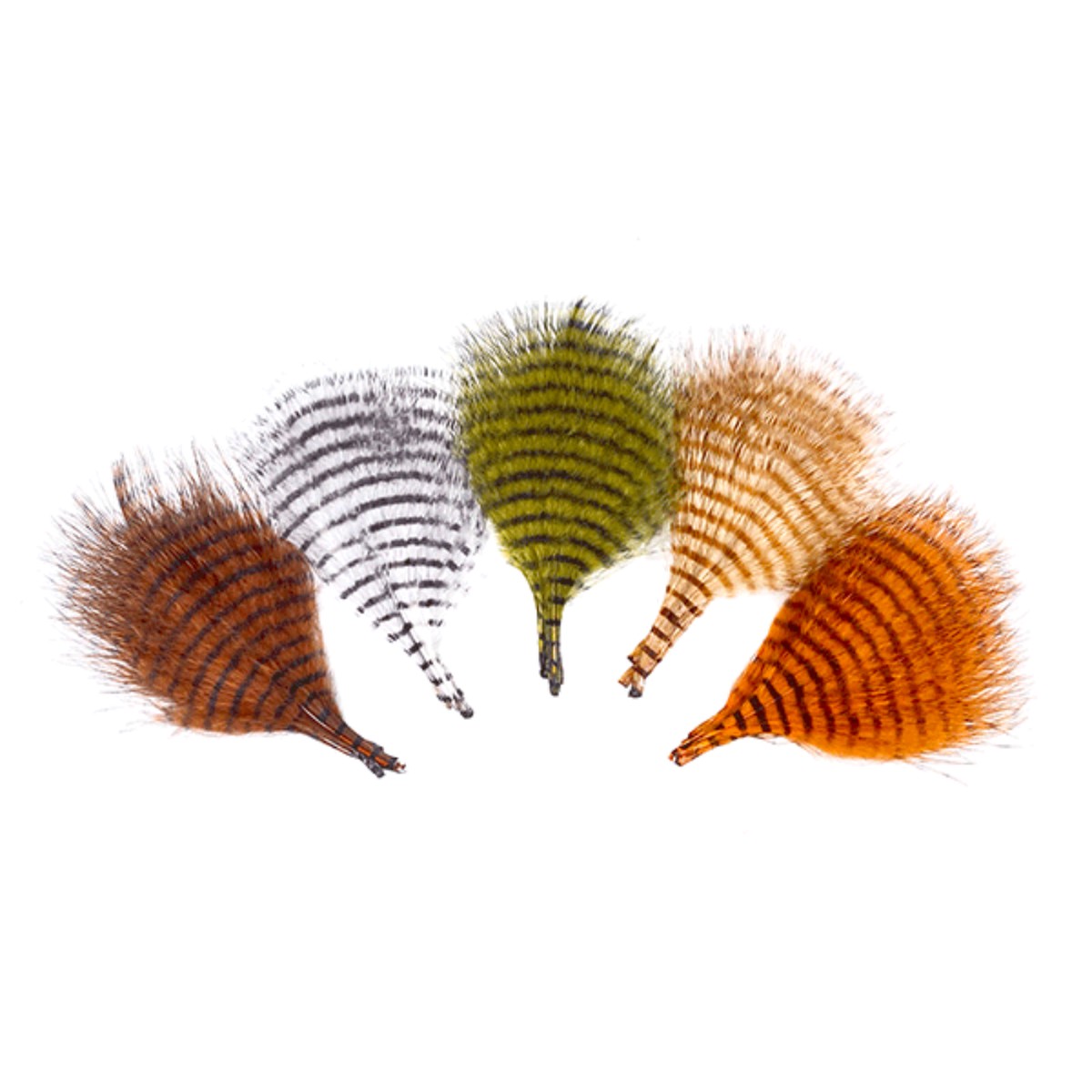 MFC Mini Barred Marabou