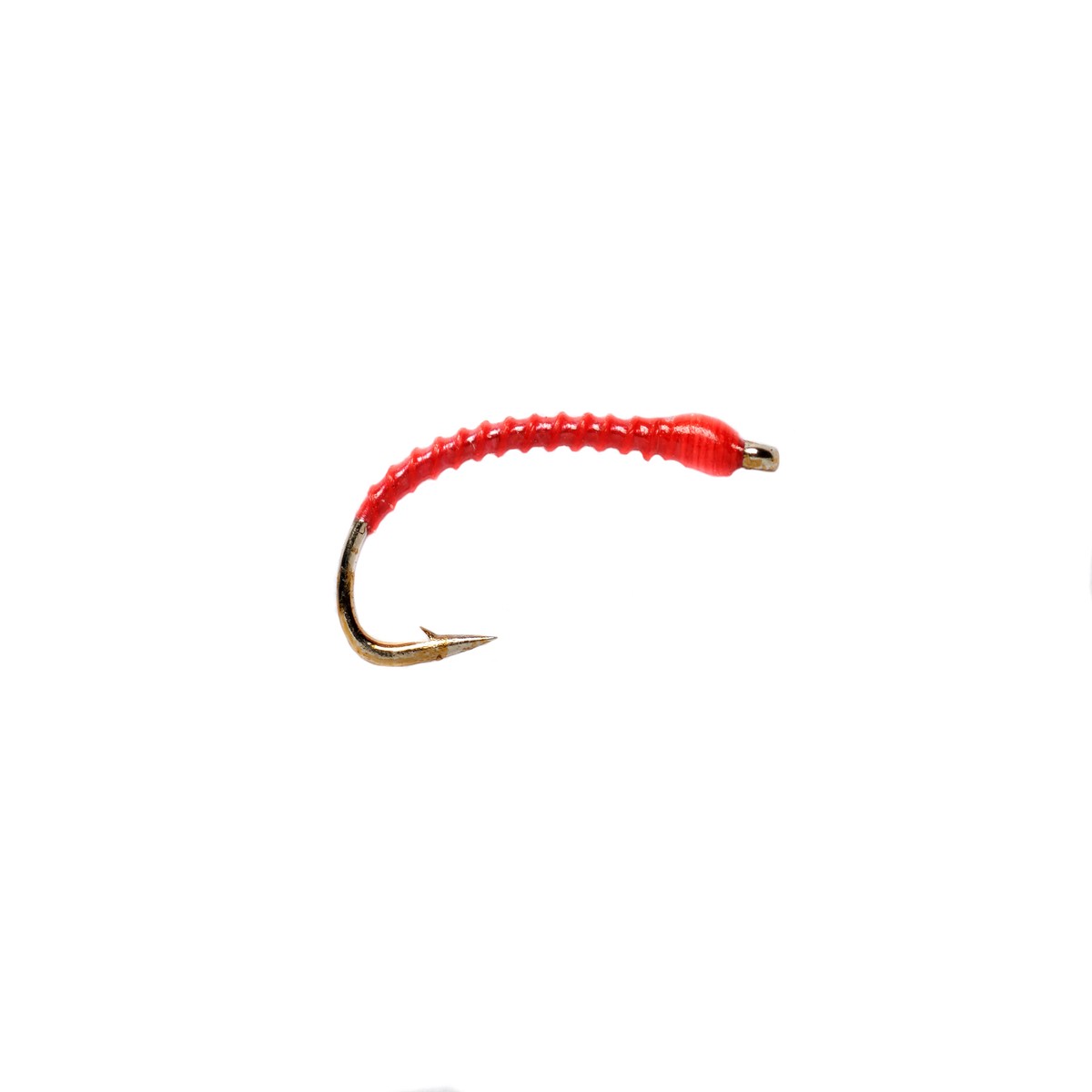 Boroffs Anneworm Orange