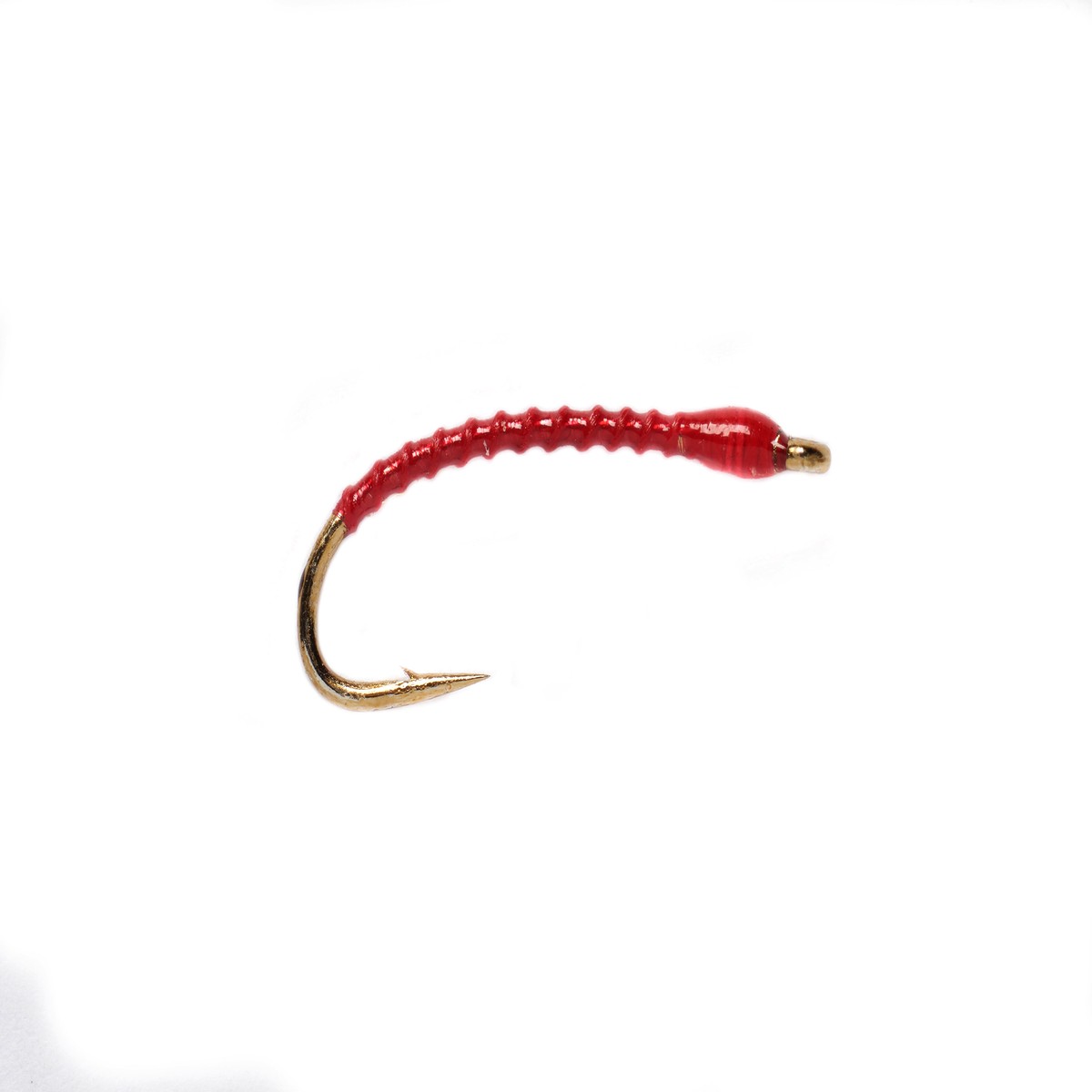 Boroffs Anneworm Red