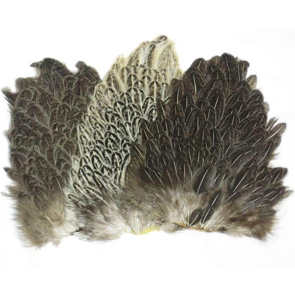 SOFT HACKLE HEN SADDLE PATCH