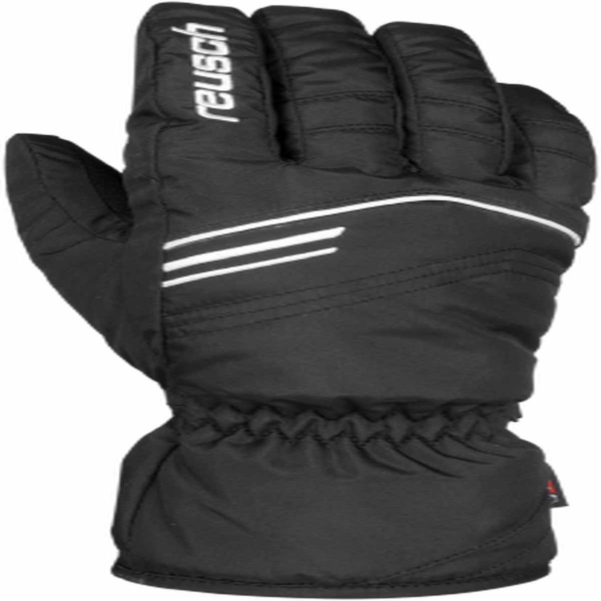 Guanti da sci Bendix R-Tex