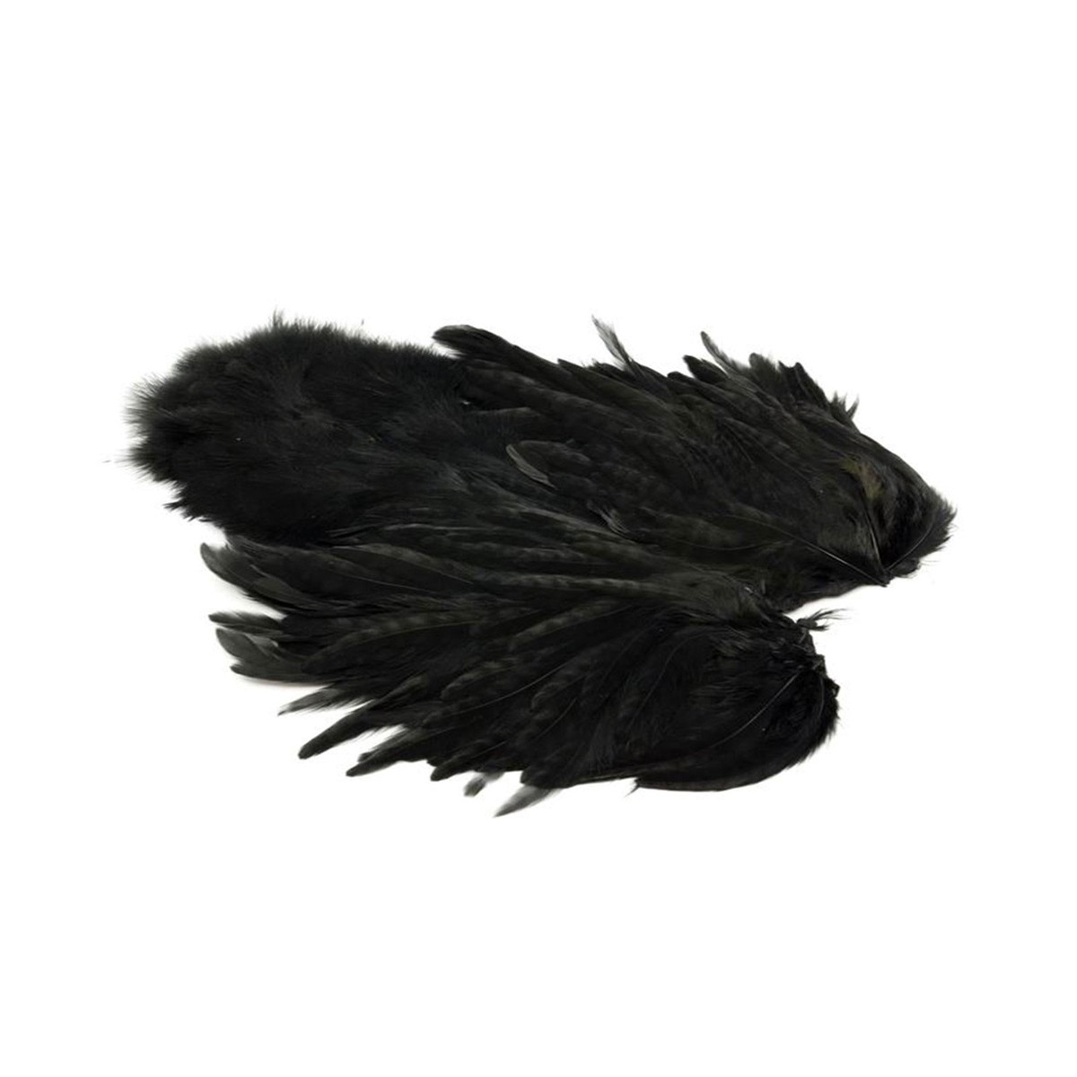 Rooster SH/C Black