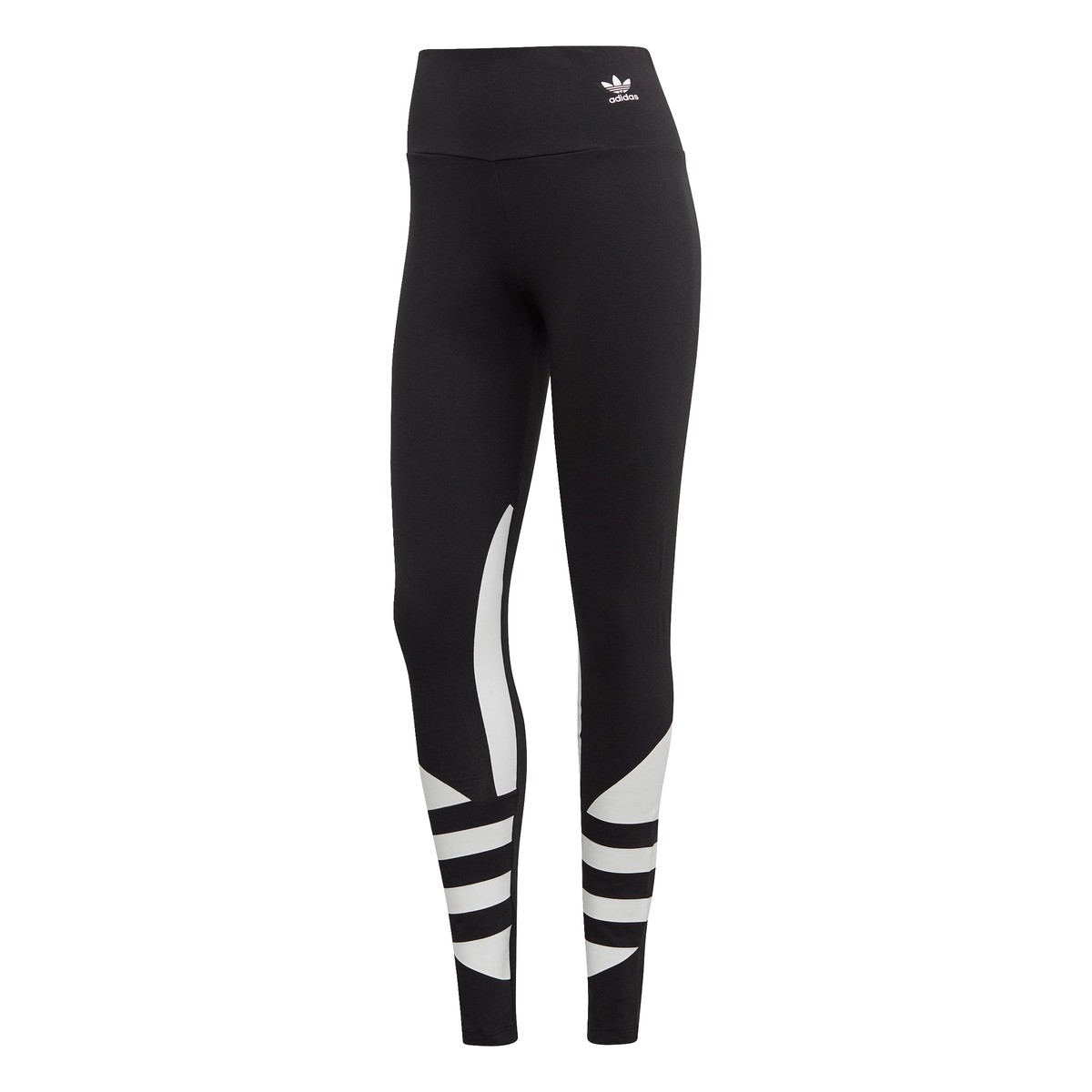 Tight Donna Large Logo