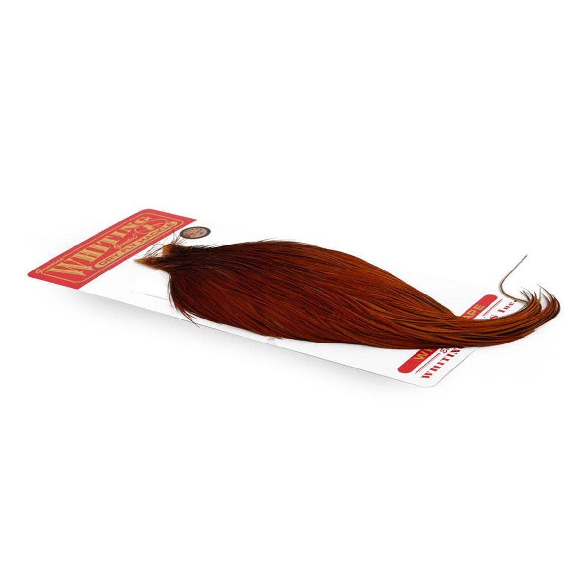 Bronze Cape Brown