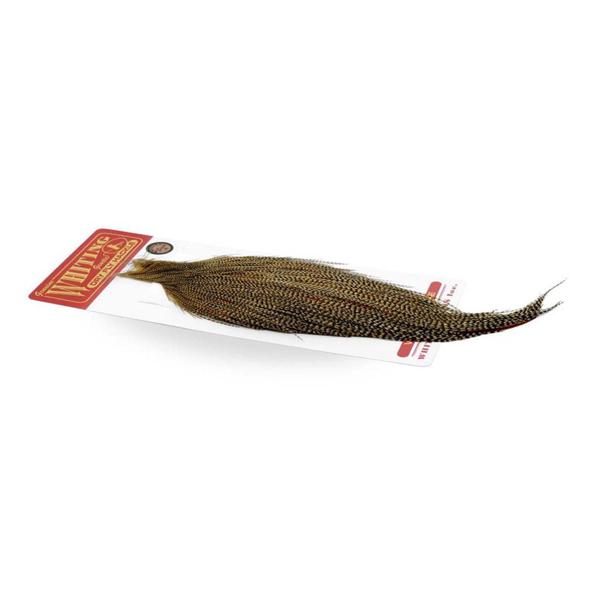 Bronze Cape Cree