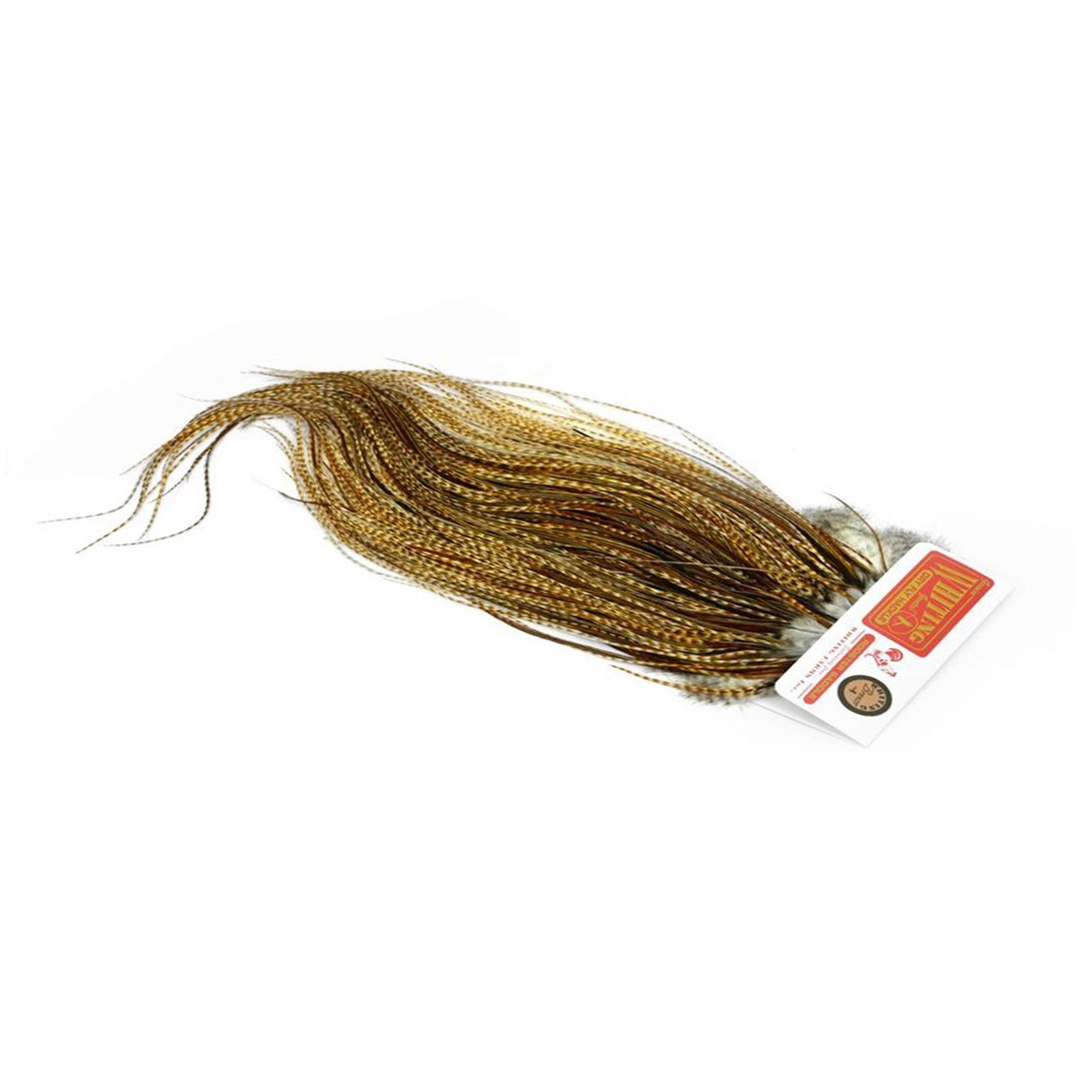 Bronze Saddle Barred Medium Ginger