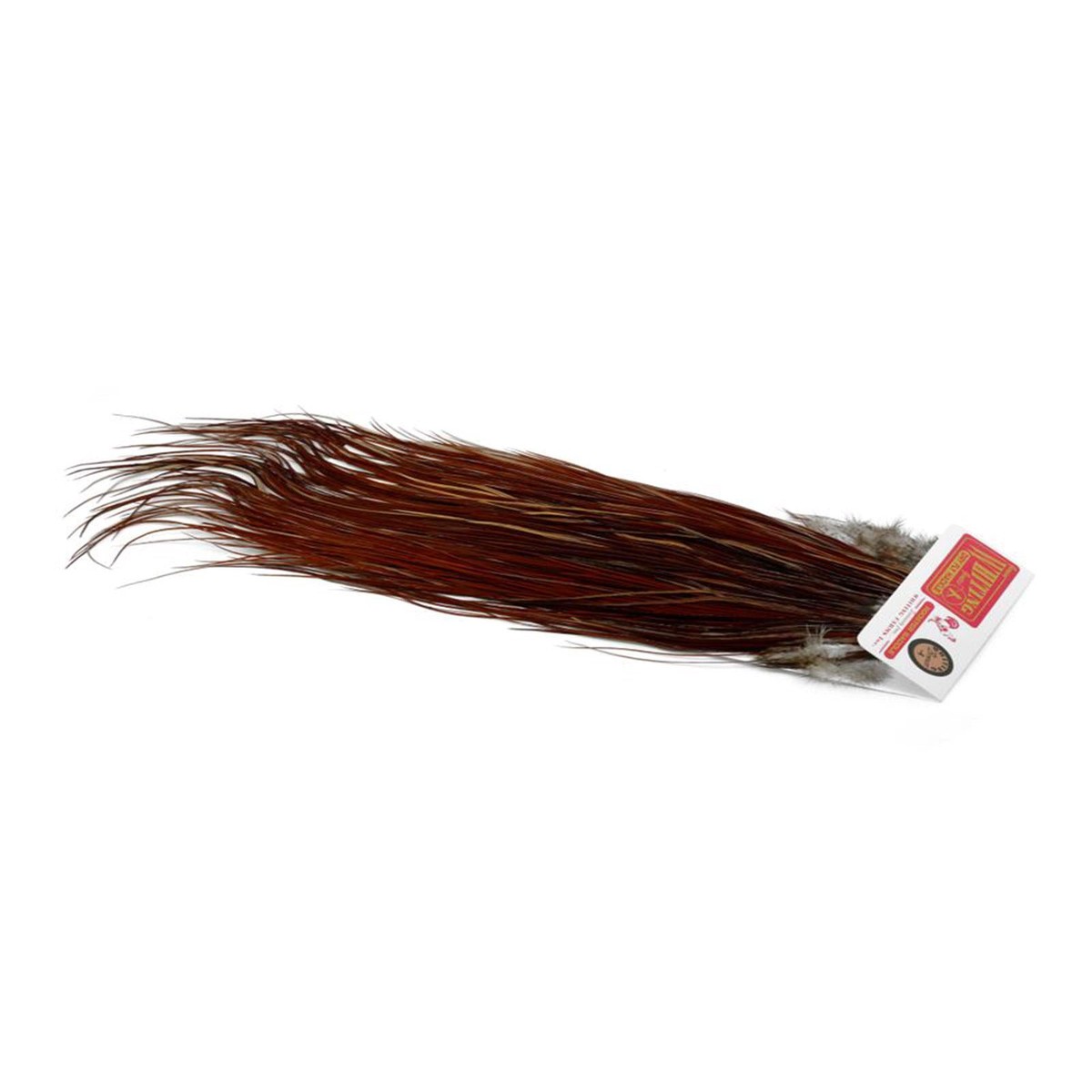 Bronze Saddle Brown