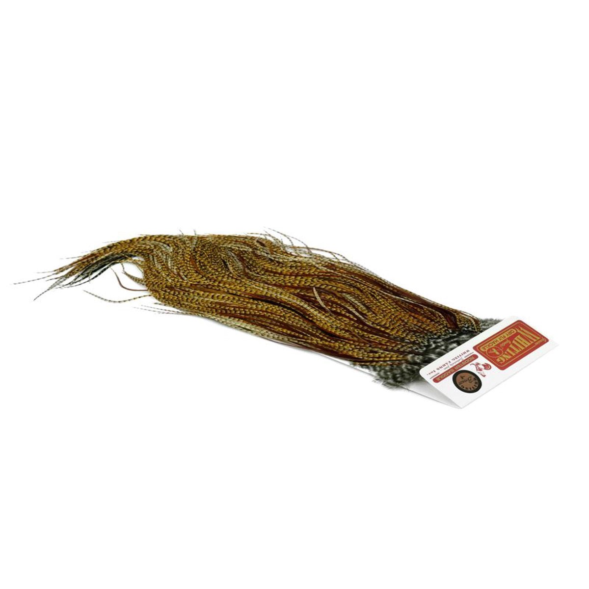 Bronze Saddle Cree