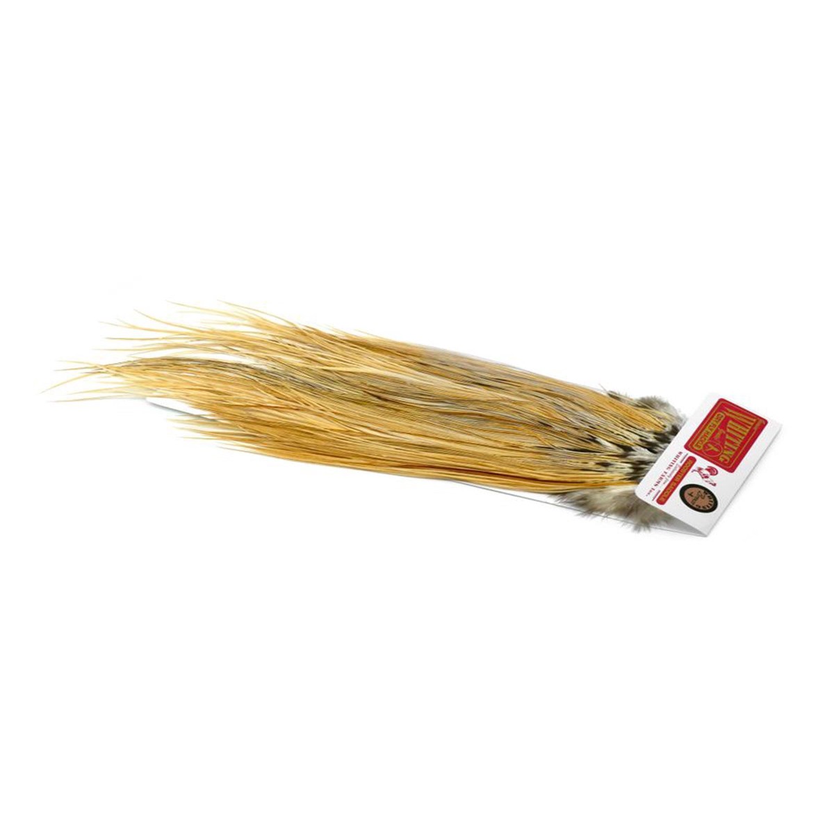 Bronze Saddle Light Ginger