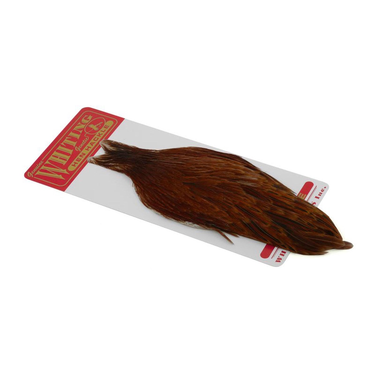 Hen Cape Brown