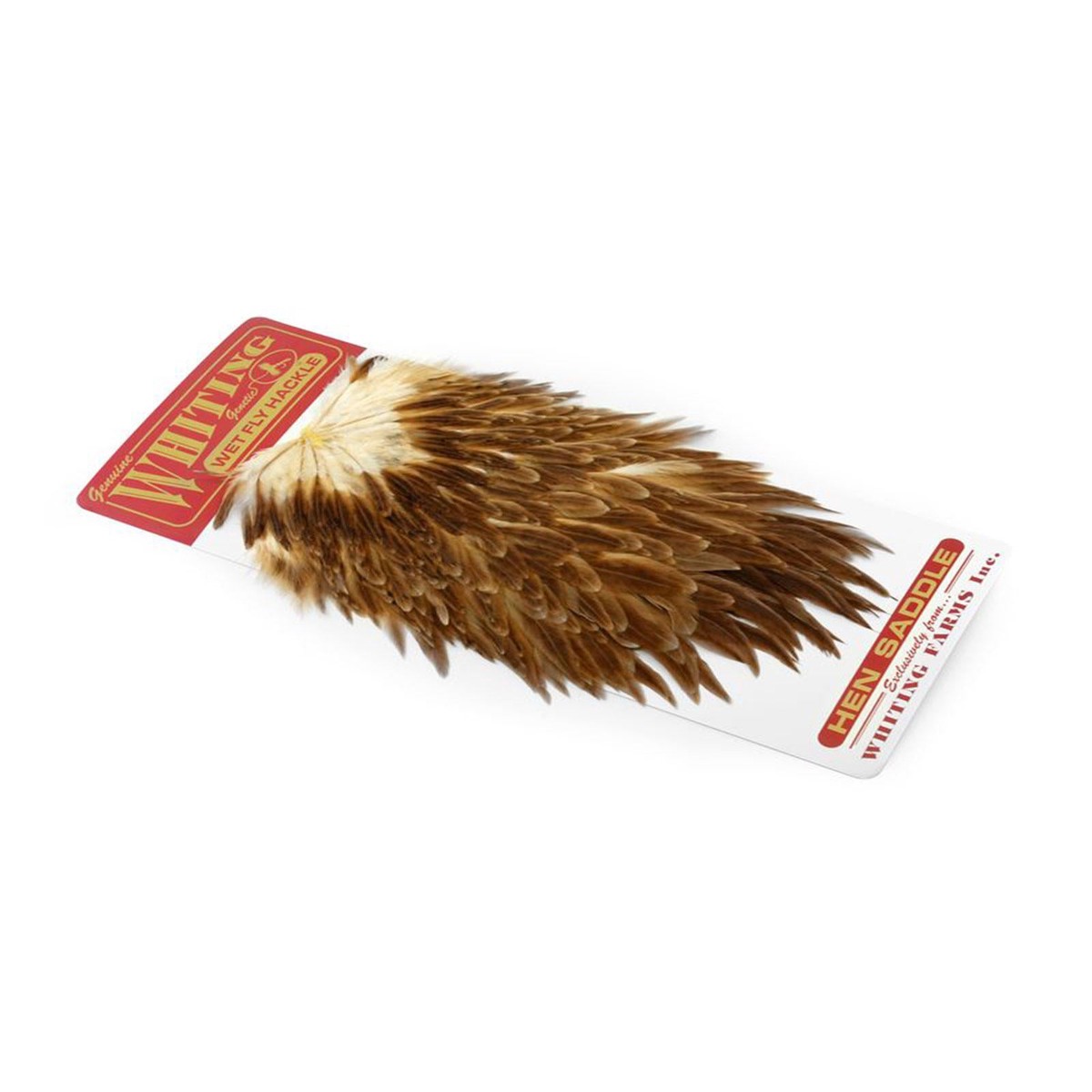 Hen Saddle Brown