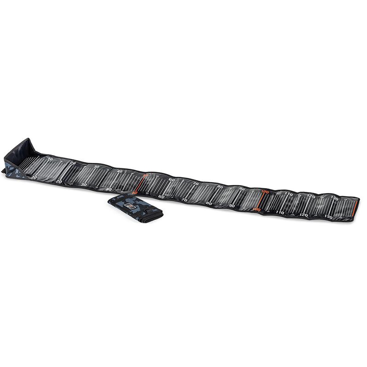 Fish Ruler