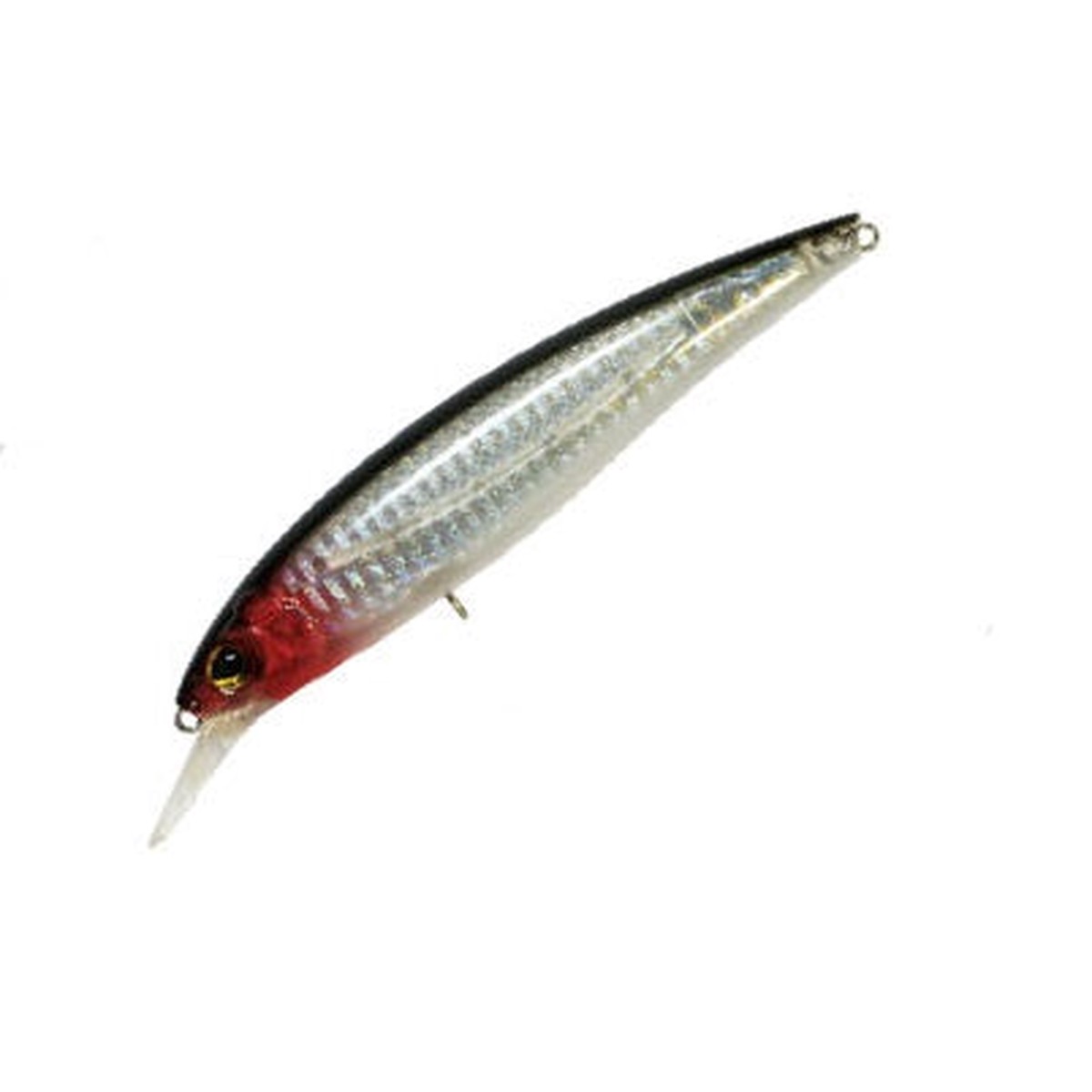 Artificiale Amber Jack